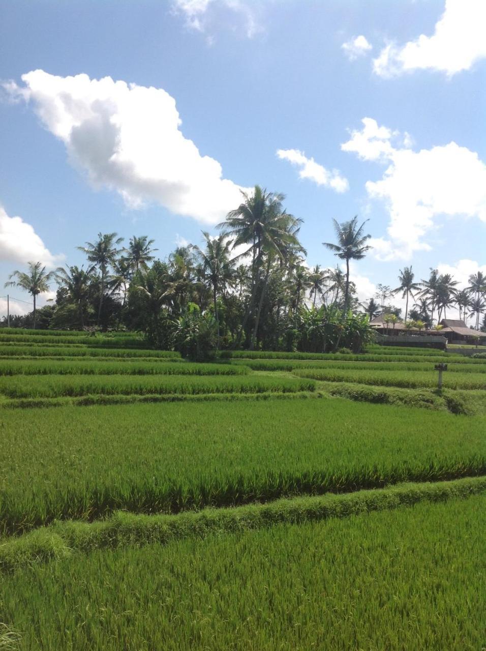 Uma Dhari Villa by Prasi Ubud Esterno foto